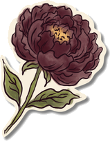 Hand-drawn peony illustration