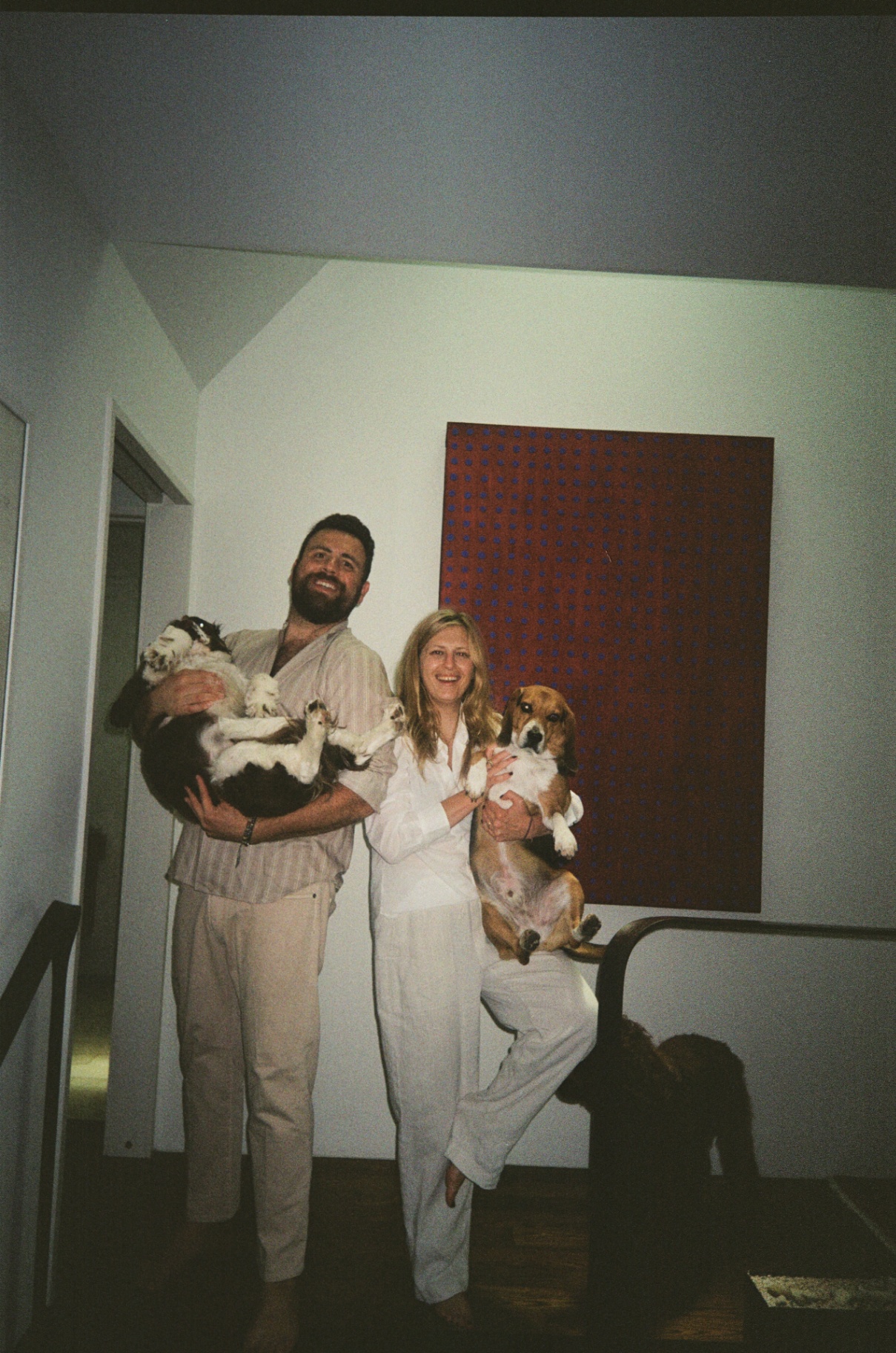 At home with the dogs