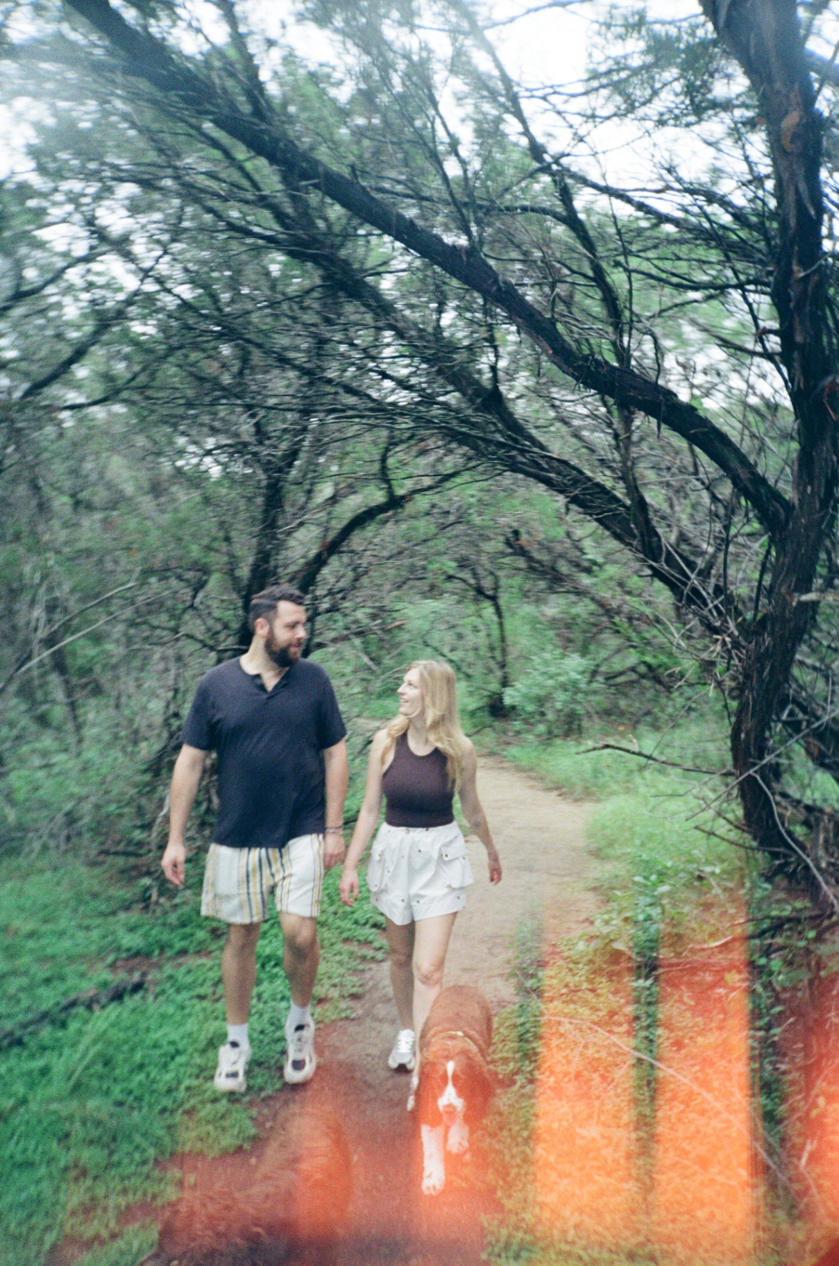 A walk on the trail